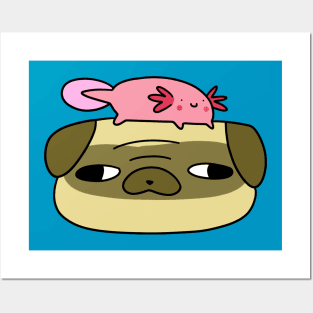 Pug Face and Axolotl Posters and Art